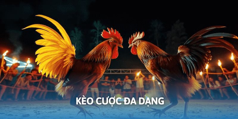 Kèo cược phong phú với nhiều lựa chọn