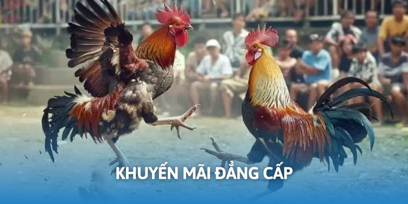Khuyến mãi hấp dẫn tại WW88
